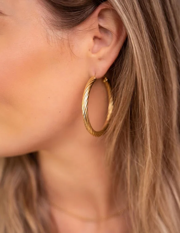 My Jewellery Earring big hoops MJ07379