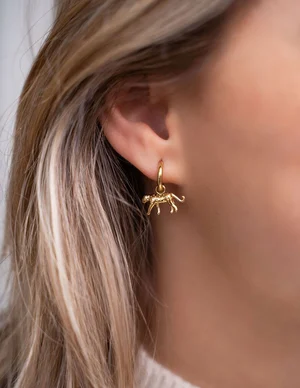 My Jewellery Earring hoops panter MJ07963