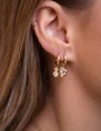 My Jewellery Earring strass star MJ07599