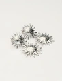 My Jewellery Earring two suns MJ11433