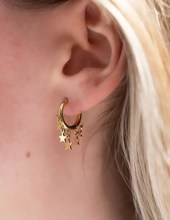 My Jewellery Earring with 5 stars MJ08283