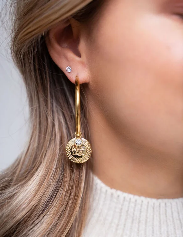 My Jewellery Earring with cirkel MJ07735