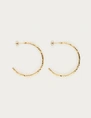 My Jewellery Earrings botanical chapter hoops MJ13862
