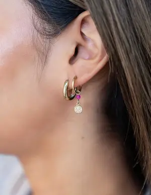 My Jewellery Earrings hoops fuchsia coin MJ09029