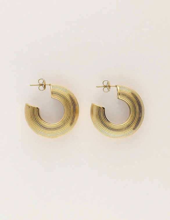 My Jewellery Earrings with light stripes MJ12792