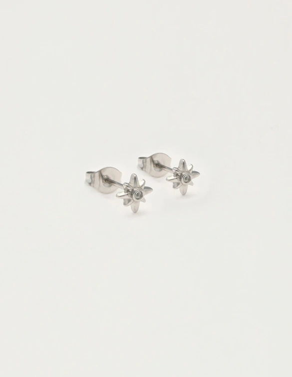My Jewellery Earstud polestar strass MJ12106