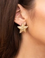 My Jewellery Earstuds star moon MJ11926