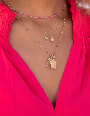 My Jewellery Necklace two charm palmtree MJ07212
