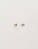 My Jewellery Studs shell MJ10326