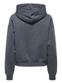Only ONLBEST L/S HOOD SWT NOOS 15338730