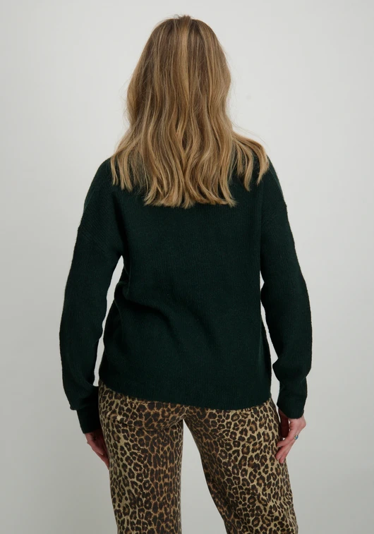 Only ONLCAMILLA V-NECK L/S PULLOVER KNT 15204588