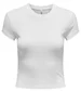 Only ONLELINA S/S O-NECK SHORT TOP JRS N 15320229