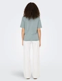 Only ONLELISE S/S V-NECK TOP JRS 15257390