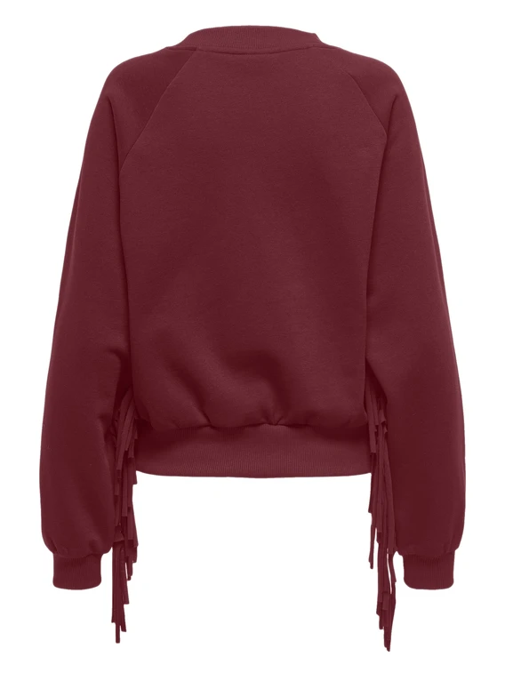 Only ONLJETT L/S O-NECK EMB. BOX SWT 15355912