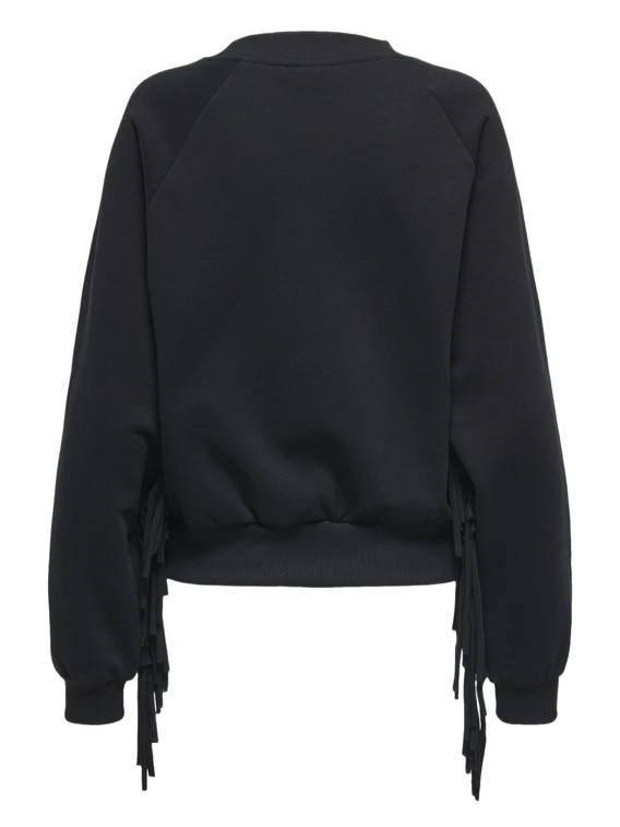 Only ONLJETT L/S O-NECK EMB. BOX SWT 15355912
