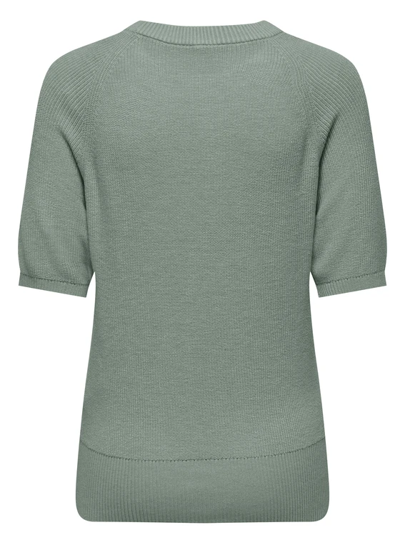 Only ONLLECIA LIFE SS RAGLAN O-NECK CC K 15339541
