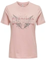 Only ONLLIMA REG S/S ROCK TOP BOX JRS 15330960