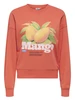 Only ONLPHILEA L/S FRUIT O-NECK UB SWT 15351693