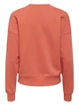 Only ONLPHILEA L/S FRUIT O-NECK UB SWT 15351693