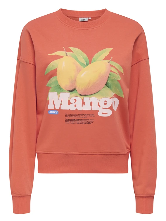 Only ONLPHILEA L/S FRUIT O-NECK UB SWT 15351693