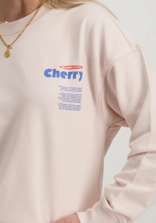 Only ONLPHILEA L/S FRUIT O-NECK UB SWT 15351693