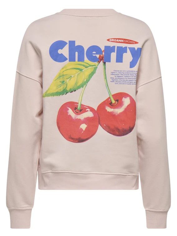 Only ONLPHILEA L/S FRUIT O-NECK UB SWT 15351693