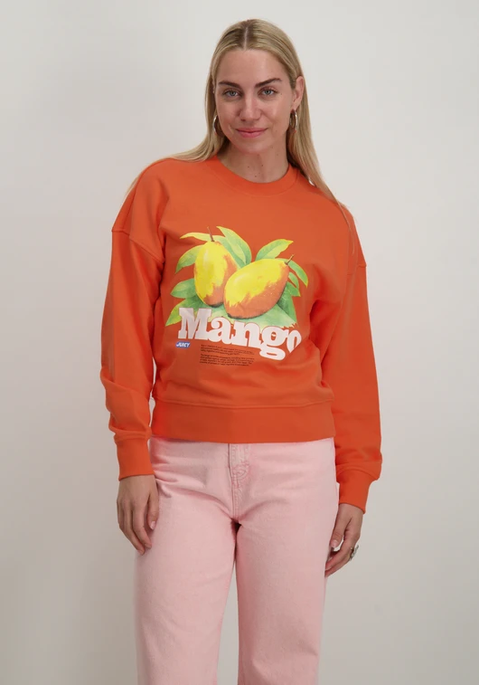 Only ONLPHILEA L/S FRUIT O-NECK UB SWT 15351693