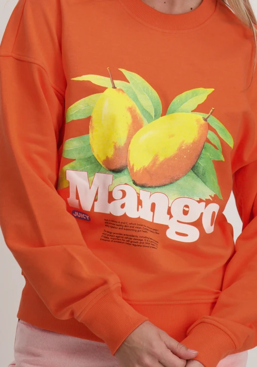 Only ONLPHILEA L/S FRUIT O-NECK UB SWT 15351693