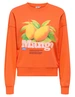 Only ONLPHILEA L/S FRUIT O-NECK UB SWT 15351693