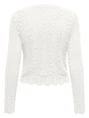 Only ONLSAGA LIFE LS O-NECK CC KNT 15339668