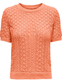 Only ONLSAGA LIFE SS O-NECK CC KNT 15339662
