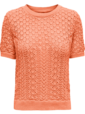 Only ONLSAGA LIFE SS O-NECK CC KNT 15339662