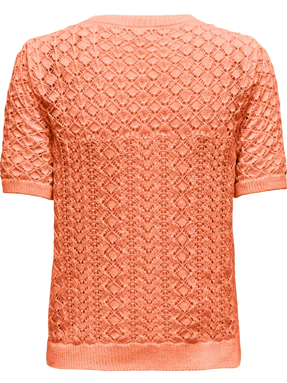 Only ONLSAGA LIFE SS O-NECK CC KNT 15339662