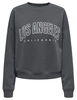 Only ONLSWEAT LIFE L/S CREW O.SIZE STATE 15254183