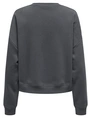 Only ONLSWEAT LIFE L/S CREW O.SIZE STATE 15254183