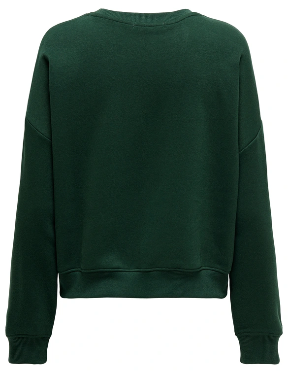 Only ONLSWEAT LIFE L/S CREW O.SIZE STATE 15254183