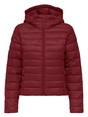 Only ONLTAHIA LW QUILTED HOOD JKT OTW CC 15352020
