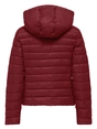 Only ONLTAHIA LW QUILTED HOOD JKT OTW CC 15352020