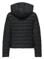 Only ONLTAHIA LW QUILTED HOOD JKT OTW CC 15352020