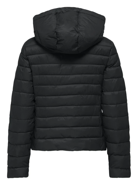 Only ONLTAHIA LW QUILTED HOOD JKT OTW CC 15352020