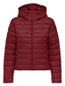 Only ONLTAHIA LW QUILTED HOOD JKT OTW CC 15352020