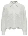 Only ONLVALAIS L/S SHIRT WVN NOOS 15269568