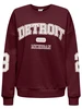 Only ONLVICTORY L/S O-NECK FIT SWT 15362900