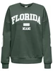 Only ONLVICTORY L/S O-NECK FIT SWT 15362900