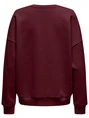 Only ONLVICTORY L/S O-NECK FIT SWT 15362900
