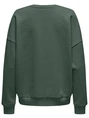 Only ONLVICTORY L/S O-NECK FIT SWT 15362900