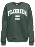 Only ONLVICTORY L/S O-NECK FIT SWT 15362900
