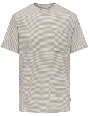 ONLY & SONS ONSBALE REG SS TEE 22025680