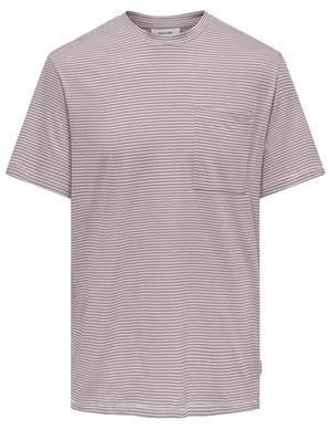 ONLY & SONS ONSBALE REG SS TEE 22025680