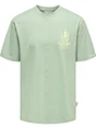 ONLY & SONS ONSBISTRO RLX SS TEE 22033630